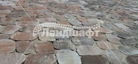 gallery-arena (8)