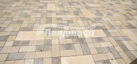 gallery-novyi-gorod (8)
