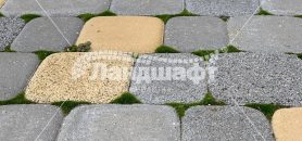 monotsvet (33)