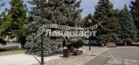 ploshad-teatralnaya (8)